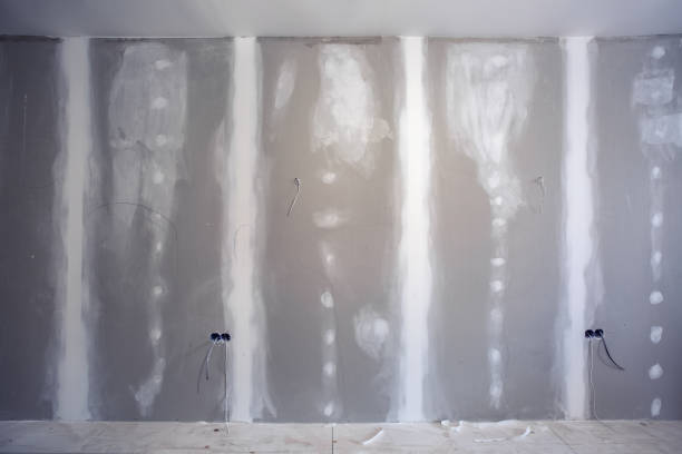 Best Mold Removal for HVAC Installations  in Mckenzie, TN