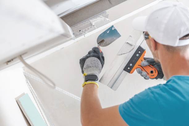 Best Indoor Air Quality Assessment  in Mckenzie, TN